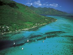 Moorea Island, French Polynesia